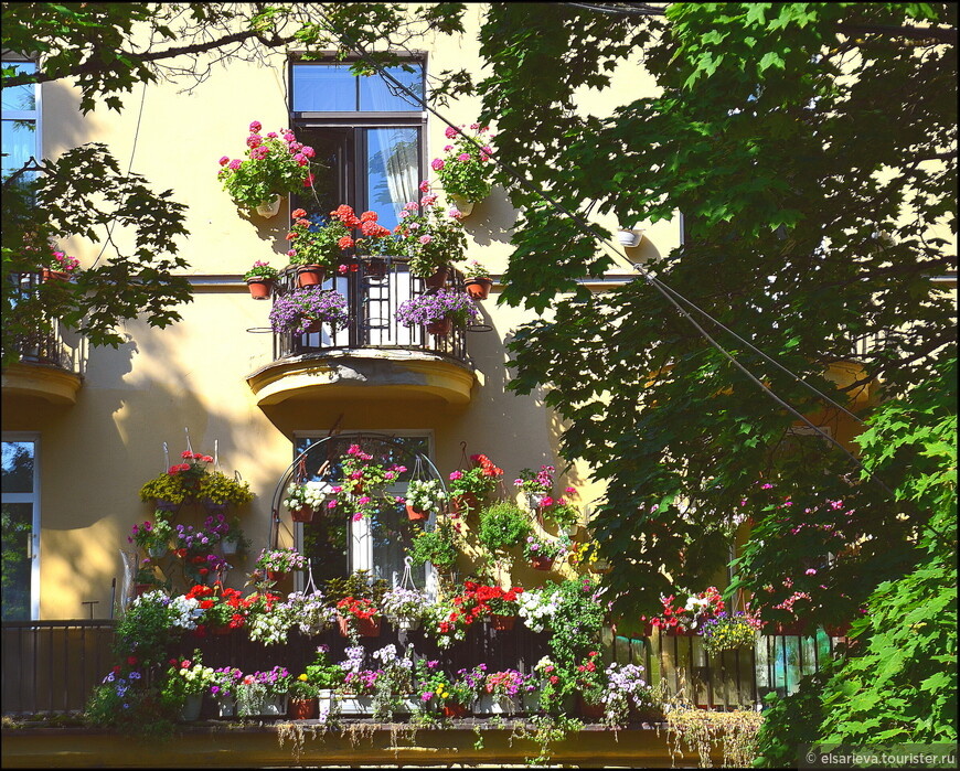 Построенное в начале XX века здание аптеки в стиле северного модерна выделяется прекрасно оформленным цветочным балконом © Елена Сариева