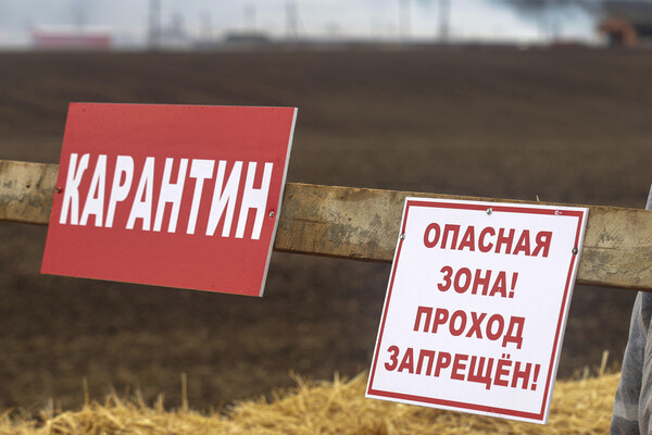 Денис Абрамов/РИА Новости   📷