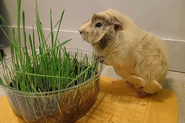 Сколтех   📷