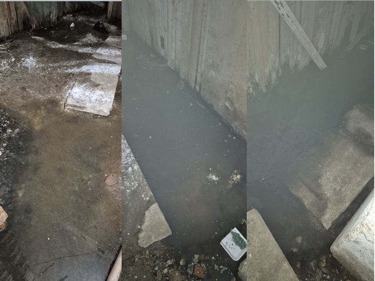     Фото: скриншот с сайта Открытый регион 71