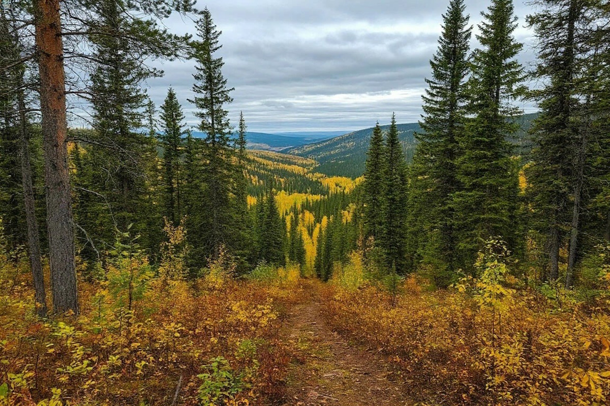    Фото: коллаж RuNews24.ru
