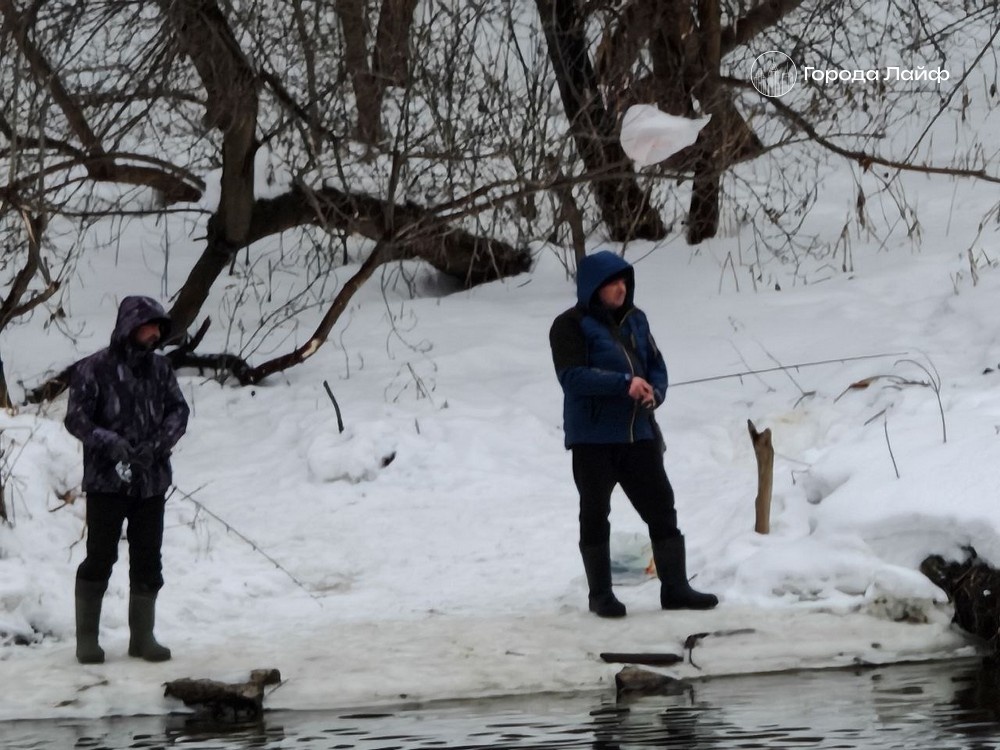     Фото: Города Лайф