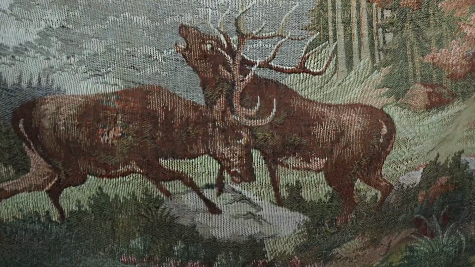 ФОТО: Кадр из программы "Купи-продай", РЕН ТВ