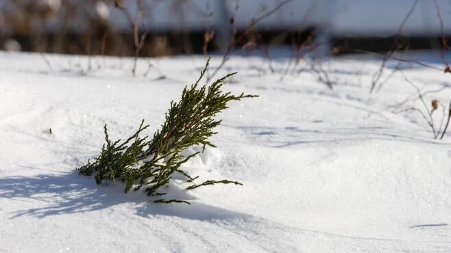 Фото: REGIONS/Роман Малышенко