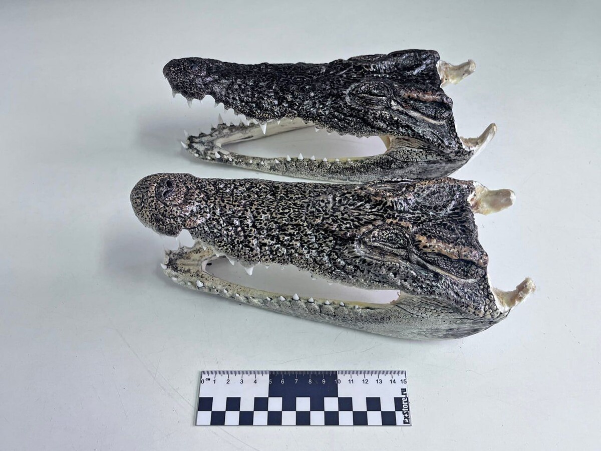     / Источник: ФТС РФ