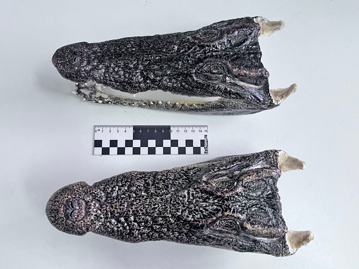     / Источник: ФТС РФ