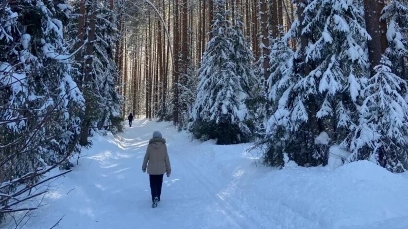    Фото progorod43.ru