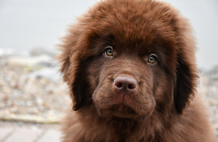    Фото: DejaVu Designs/freepik.com