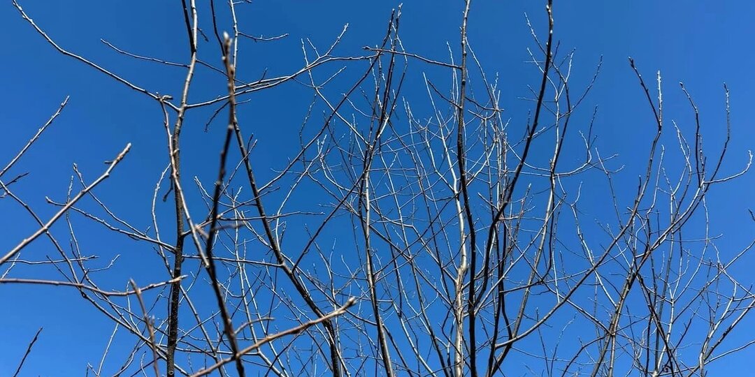 Погода в Стерлитамаке на вторник, 24 марта 2026 года