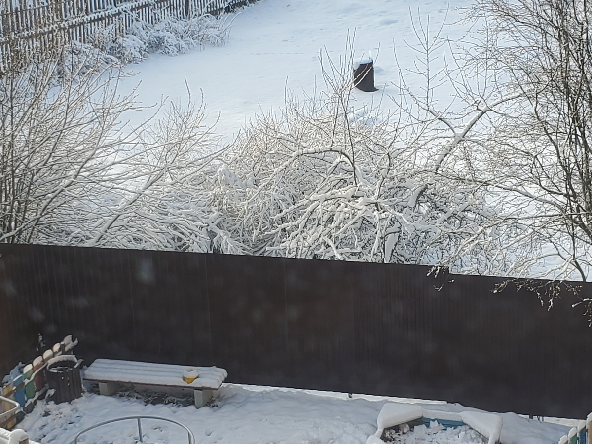 Второй день такой красоты