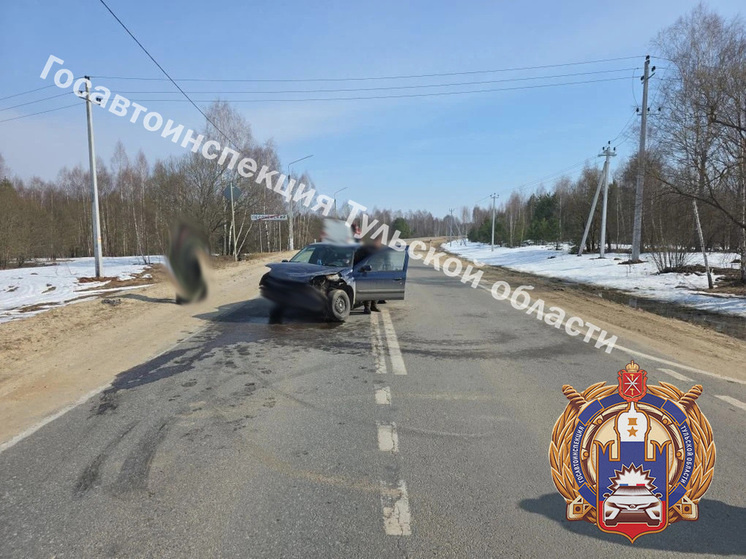     Фото: Госавтоинспекция Тульской области