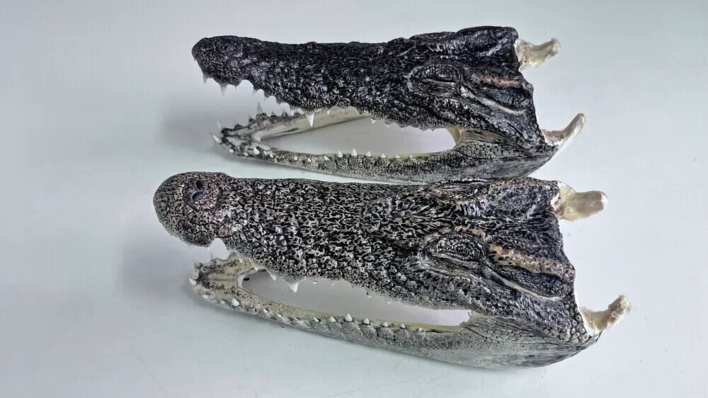    Источник: vm.ru/ Алиса Седова