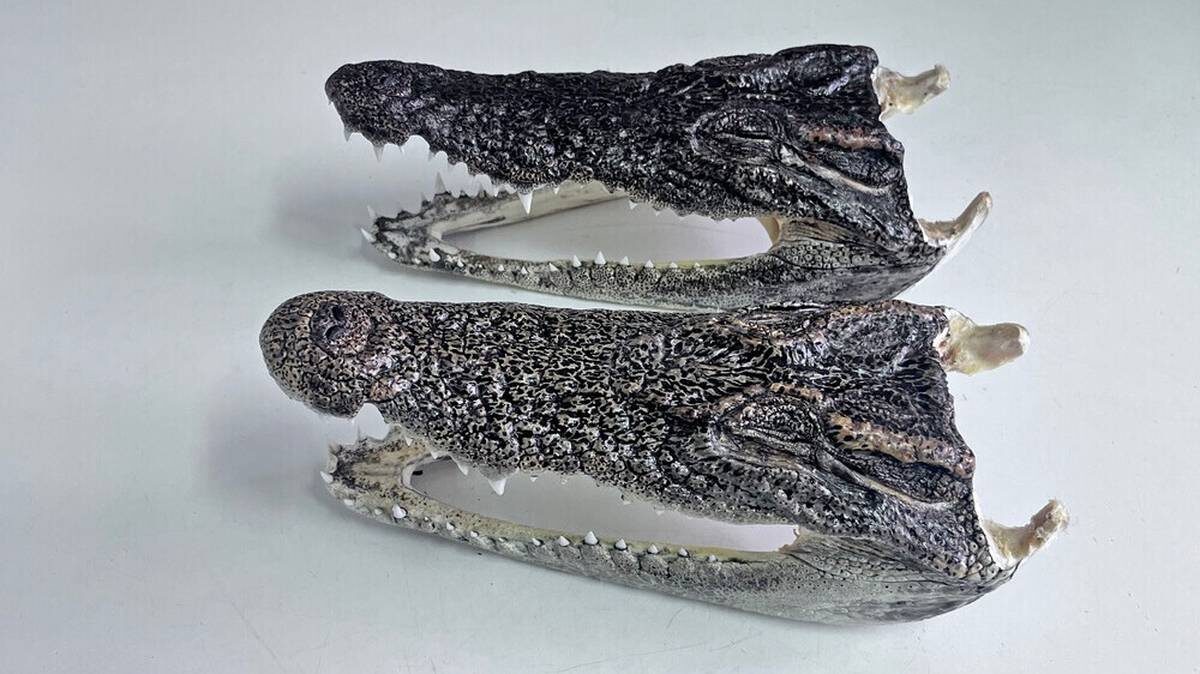    Фото: Пресс-служба ФТС России