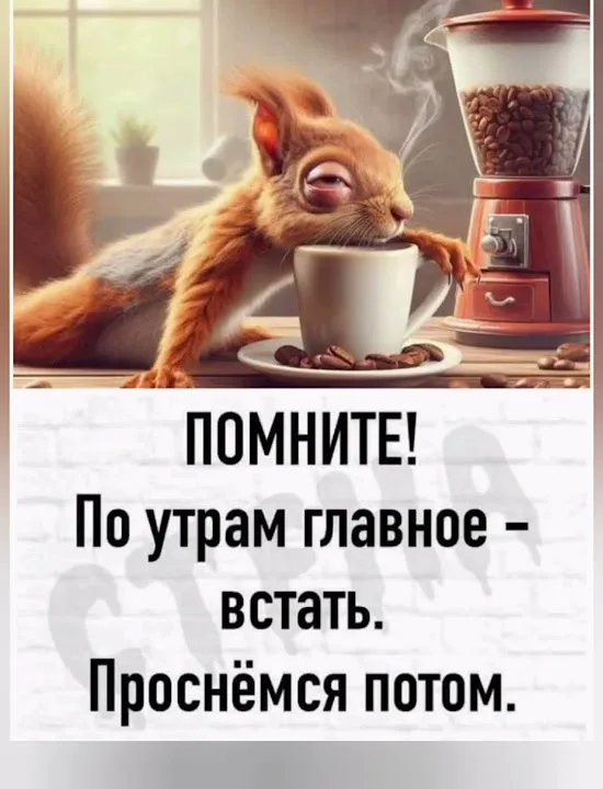 фото из соцсетей