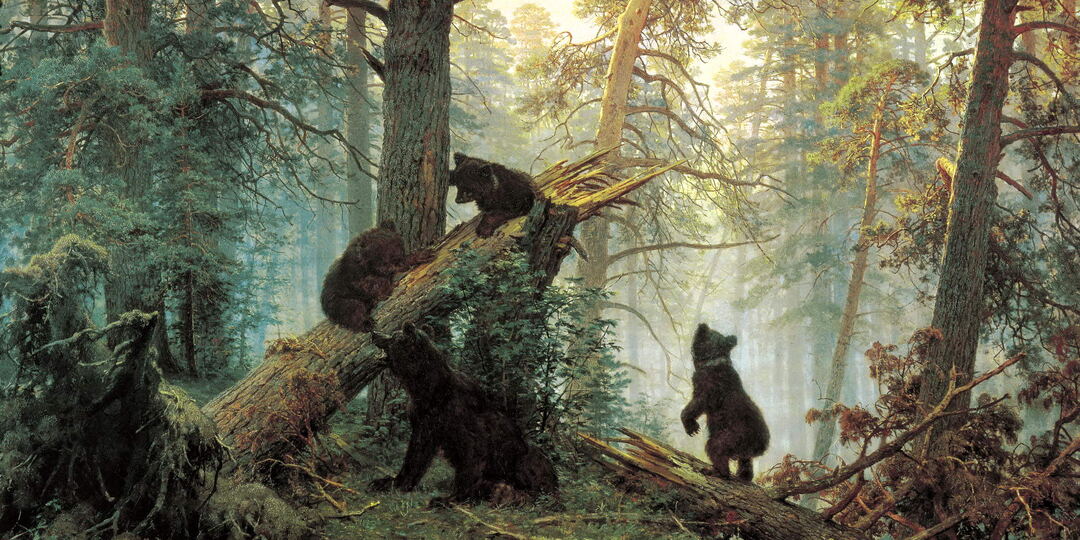 Школьная программа: 10 простых вопросов по произведениям, которые проходили и проходят в школе