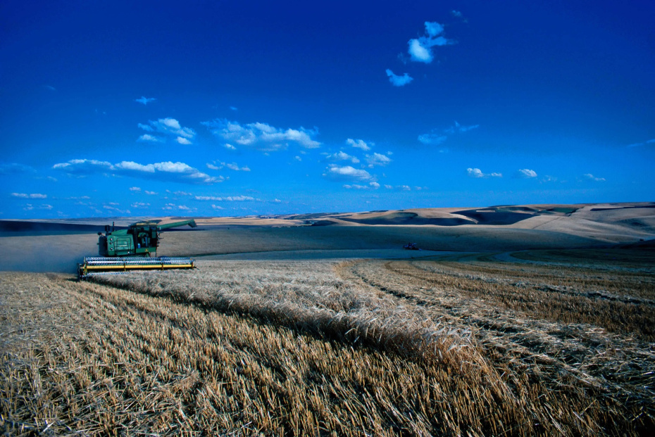    Planet Pix/ZUMAPRESS/Global Look Press