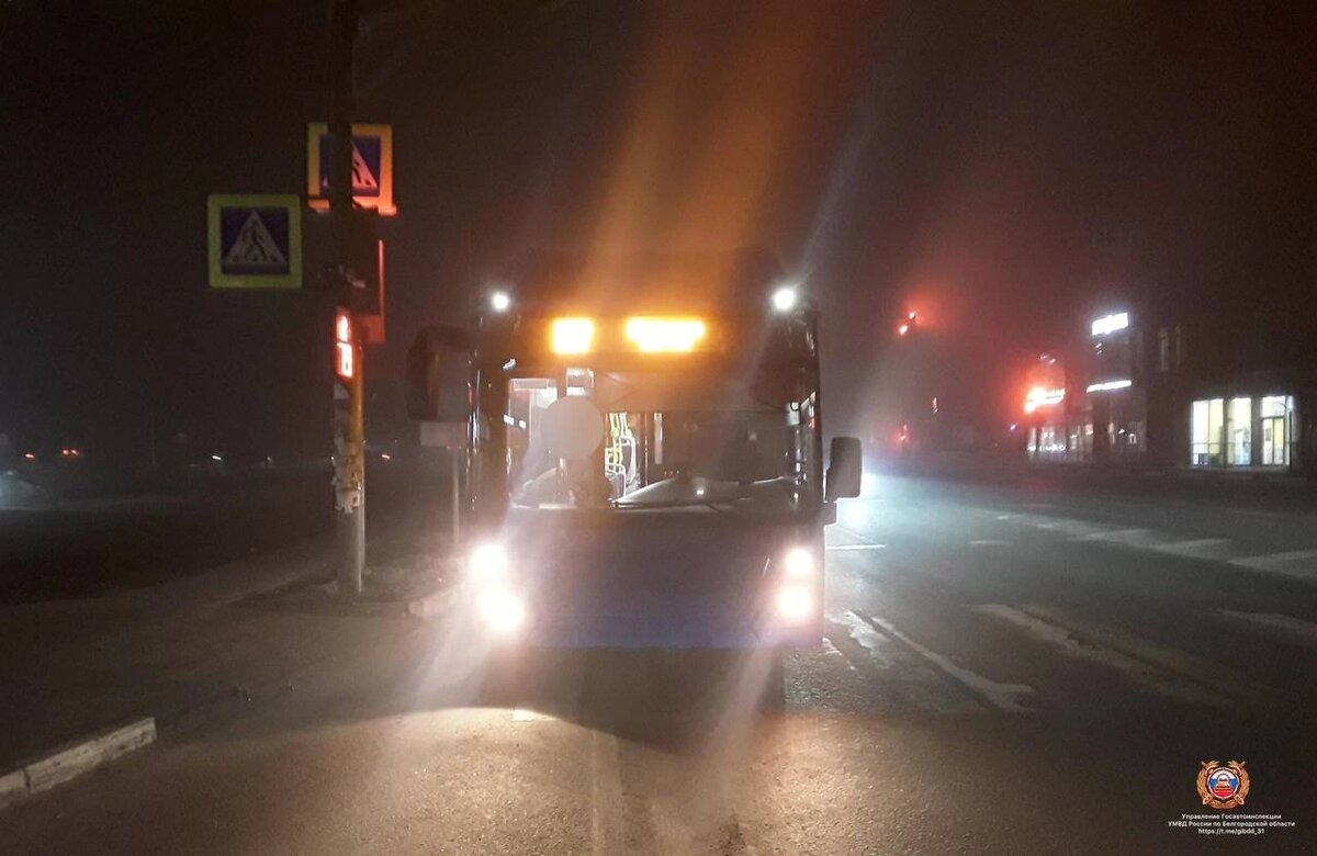    Фото: пресс-служба Госавтоинспекции Белгородской области