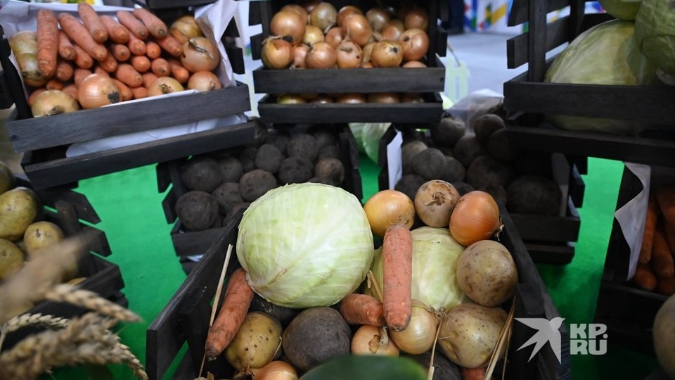 В Свердловскую область привезли свыше 1,8 тысячи тонн импортных фруктов и овощей