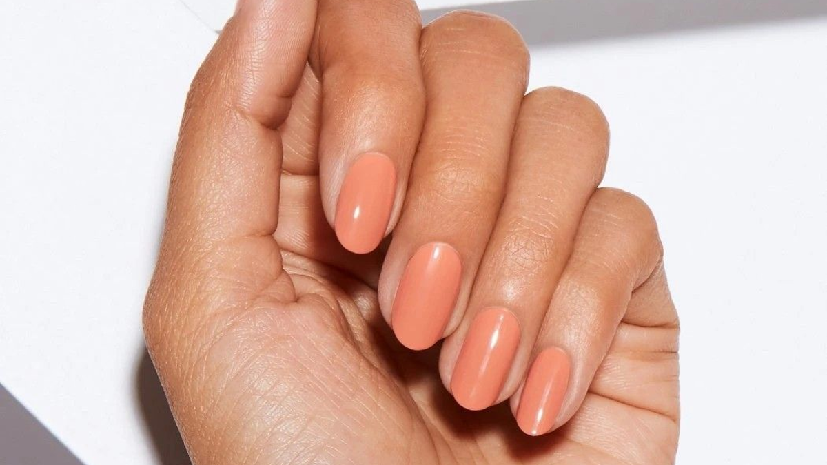 Фото: https://ru.pinterest.com/pin/372039619242694918/