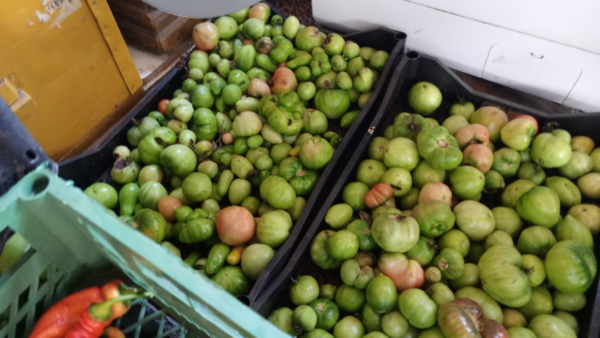    Фото: progorod43.ru