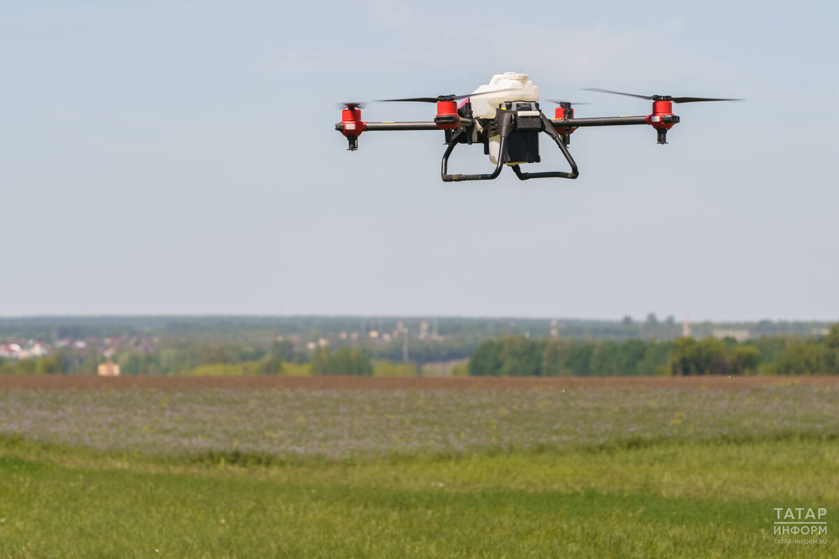 Фото: © Салават Камалетдинов / «Татар-информ»