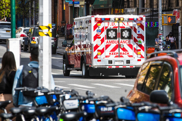 Karolis Kavolelis/Shutterstock   📷