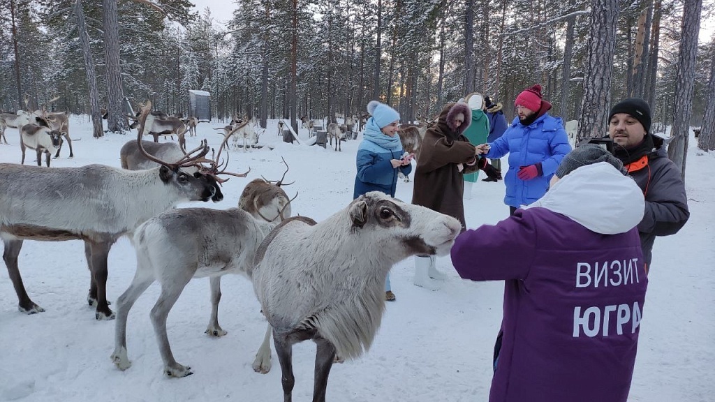    За два года в Арктической зоне России Берёзовский и Белоярский районы стали привлекательнее для жизни