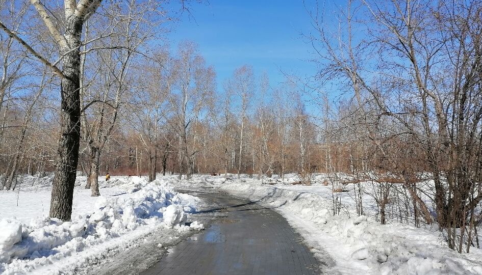Ложная тревога. Спасибо врачам из скорой. Скорая работает по плану
