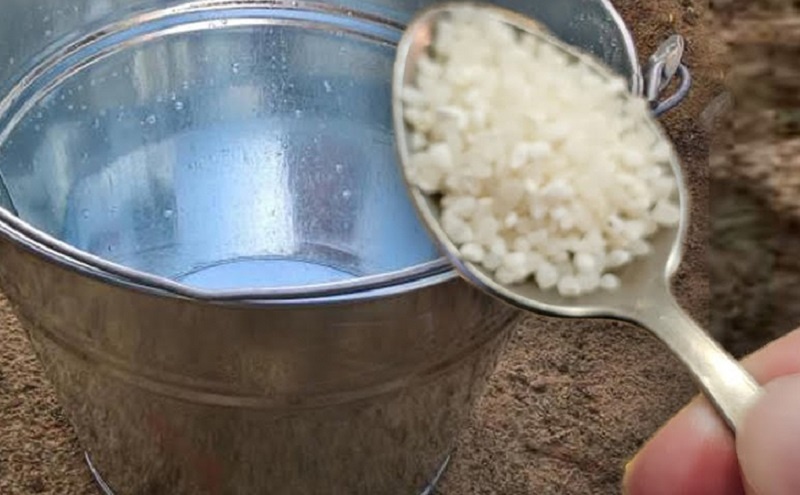 Удобрение, которое пробуждает землю: секрет здоровой почвы и мощного роста томатов, малины и прочих культур