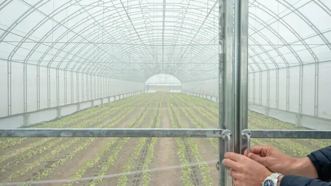 Фото: медиасток.рф