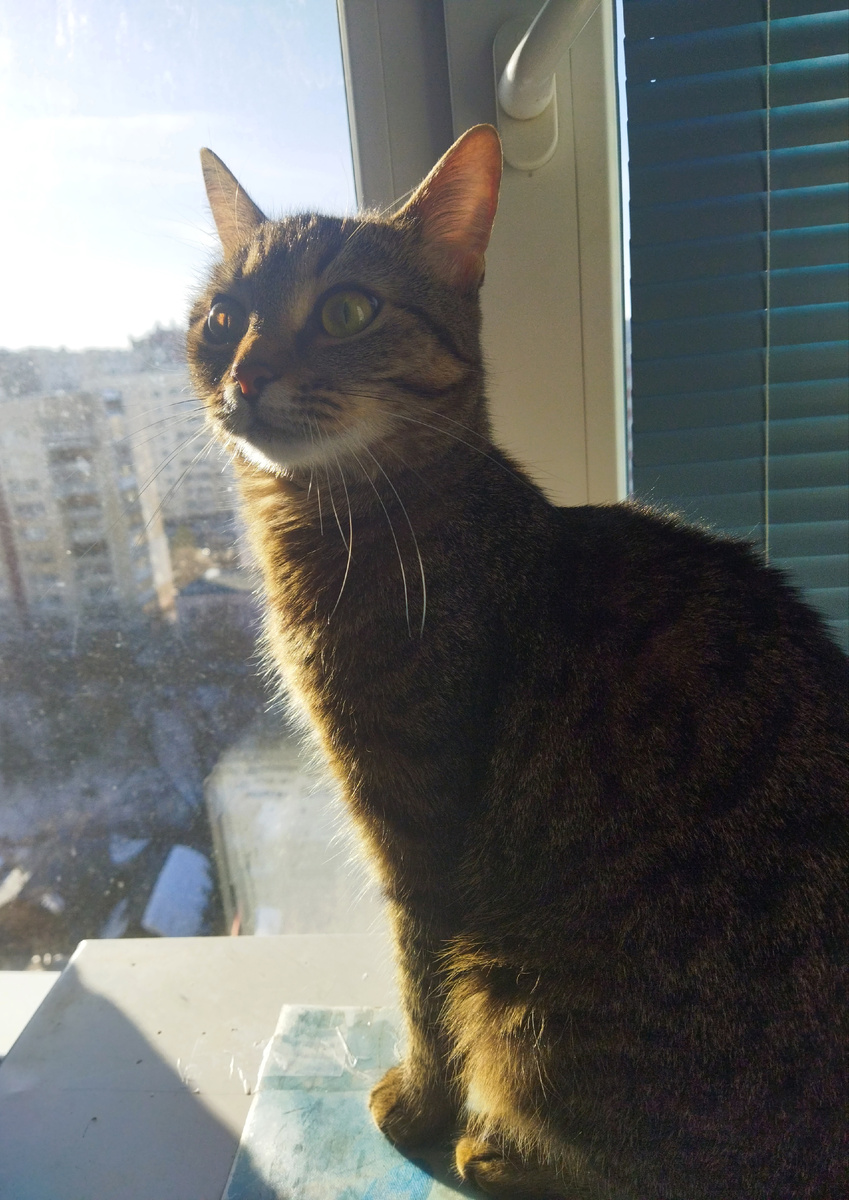 Фото автора