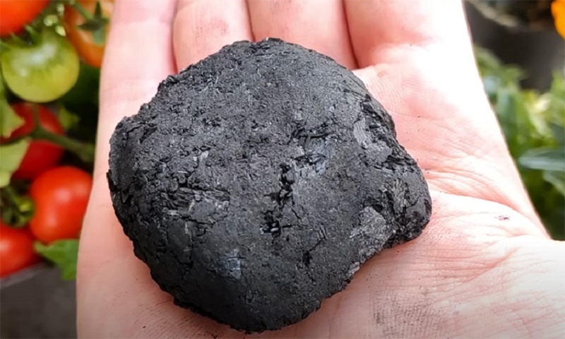 Деревенский секрет для мощного роста: как обычный древесный уголь меняет судьбу помидоров и огурцов