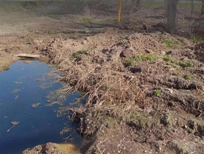    ФОТО: Росприроднадзор