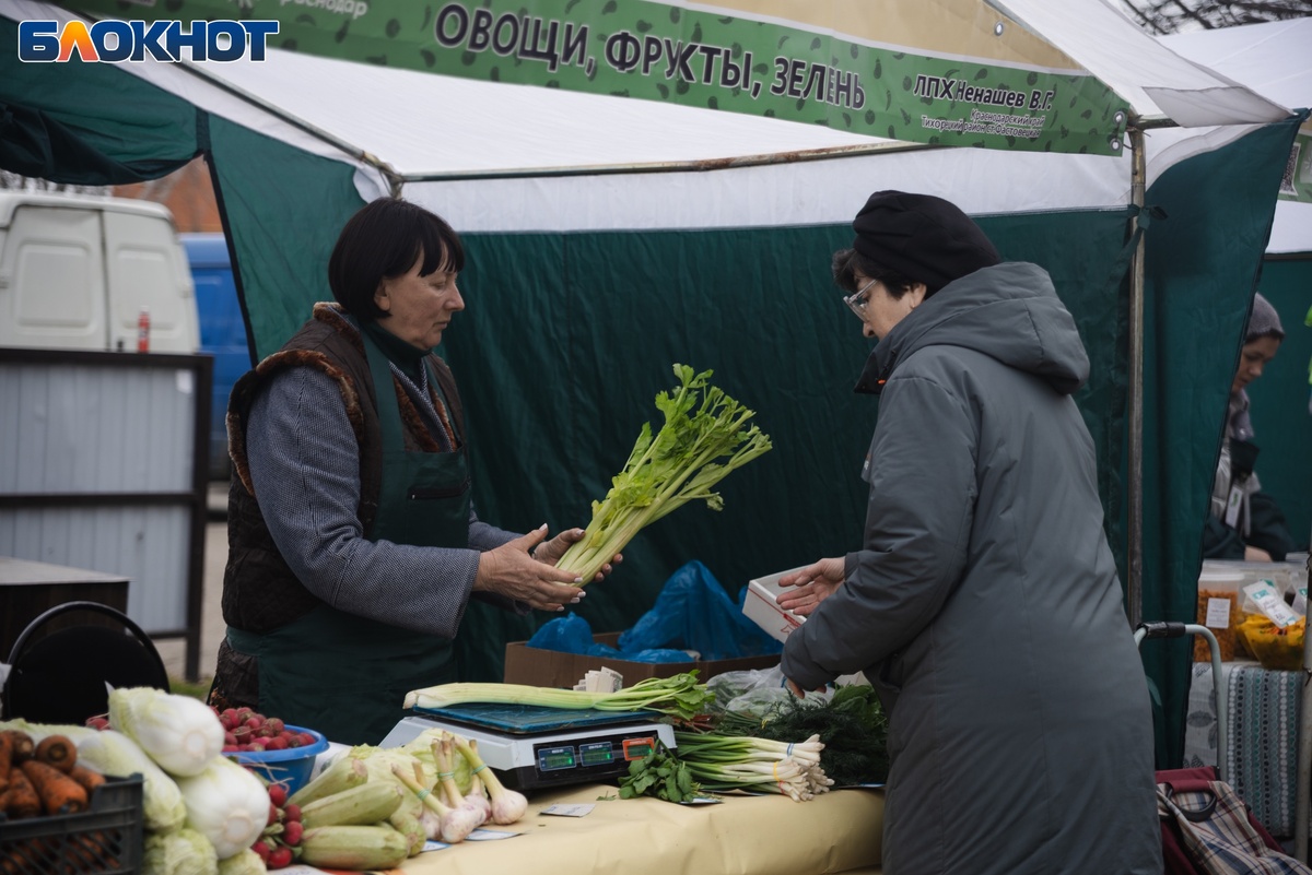 Фото: «Блокнот Краснодар"