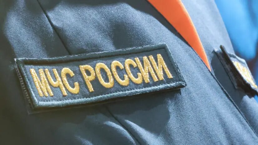    Источник: russian.rt.com Светлана