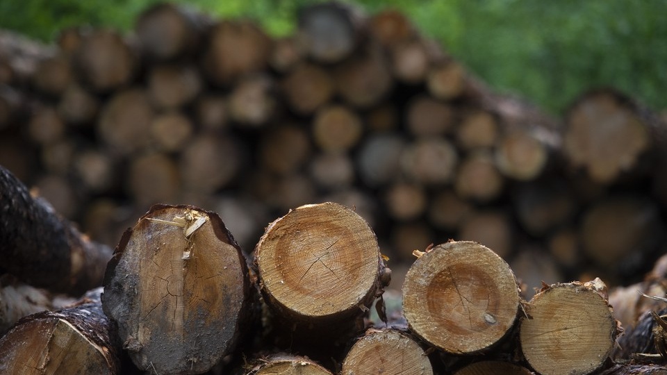 Уралец лишился трактора и заплатил 1 млн рублей штрафа за незаконную рубку леса