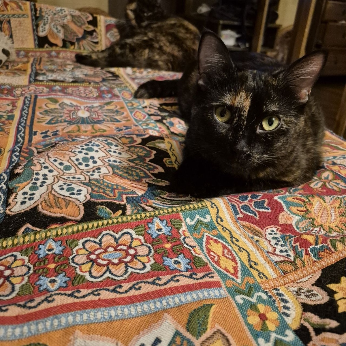 Опять про меня??