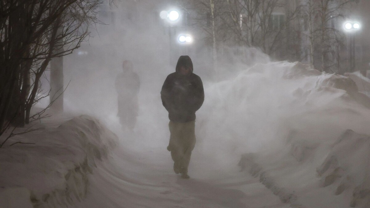    Фото: Андрей Ткачев/«Ямал-Медиа»