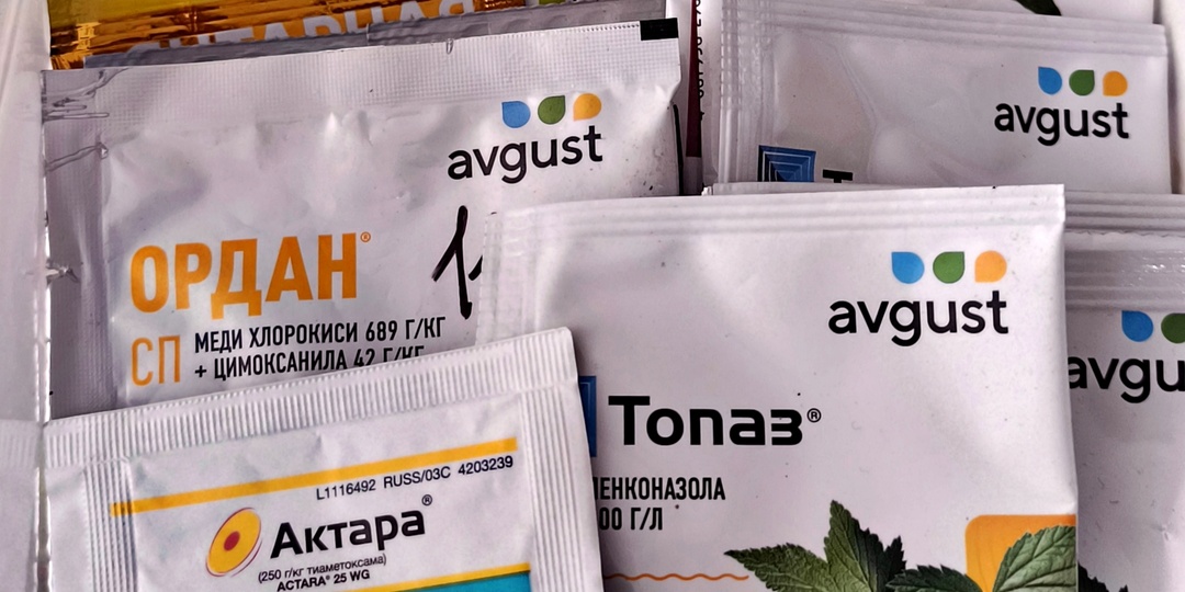 Зелёная аптечка для роз.