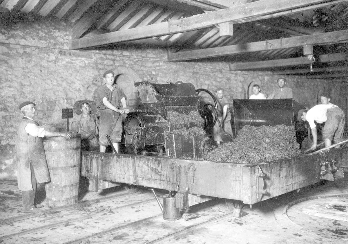 Историческая фотография переработки винограда на винодельне Marqués de Riscal в Эльсьего. Риоха-Алавеса, Испания