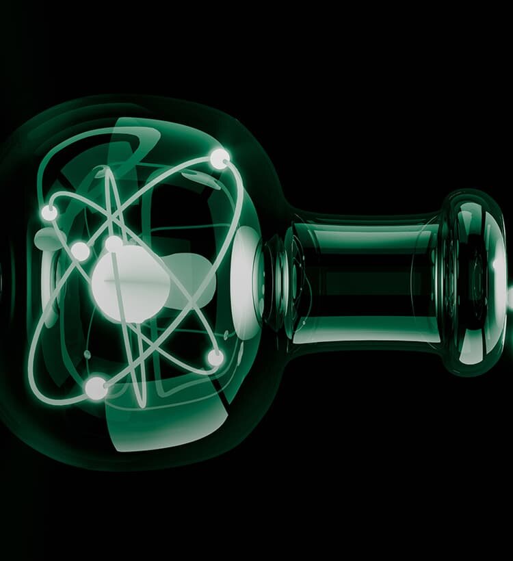 Фото: Shutterstock