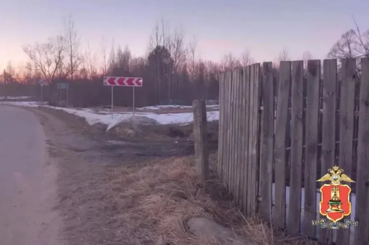    Разбившийся на питбайке в Тверской области подросток получил тяжёлые травмы