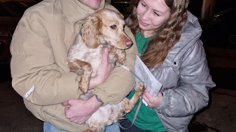 Наконец-то хорошие новости для наших любимых подписчиков, наслаждайтесь