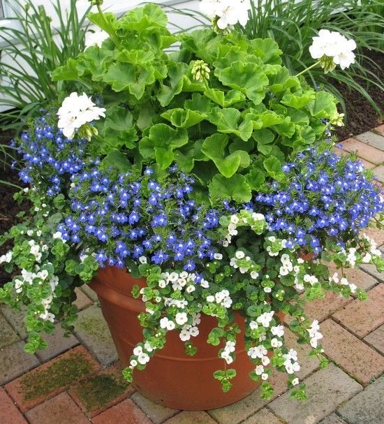 Есть возможность повторить композицию точь в точь этим летом. Фото из открытых источников. 