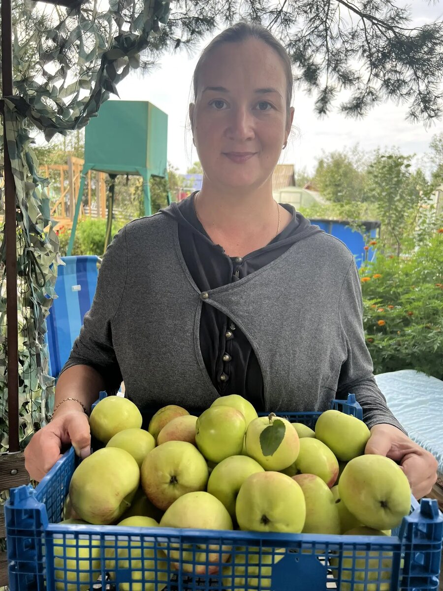 Наша семилетка "Мельба", два ящика в сезоне 2025. Фото автора