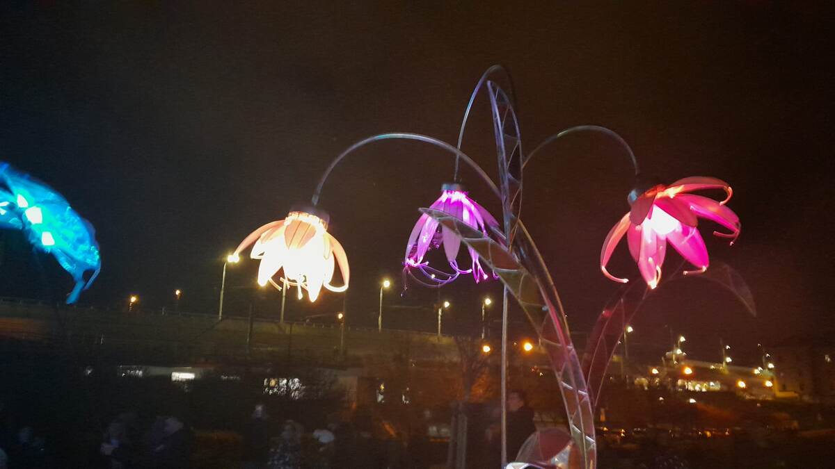 здесь и далее фото моего мужа: цветочки большие