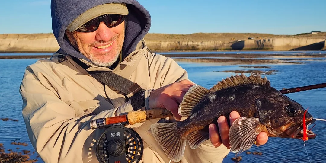 Морской окунь глазчатый (Sebastes oculatus) или Patagonian rockfish