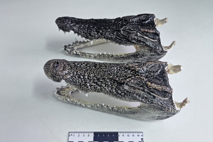    Фото Сибирского таможенного управления