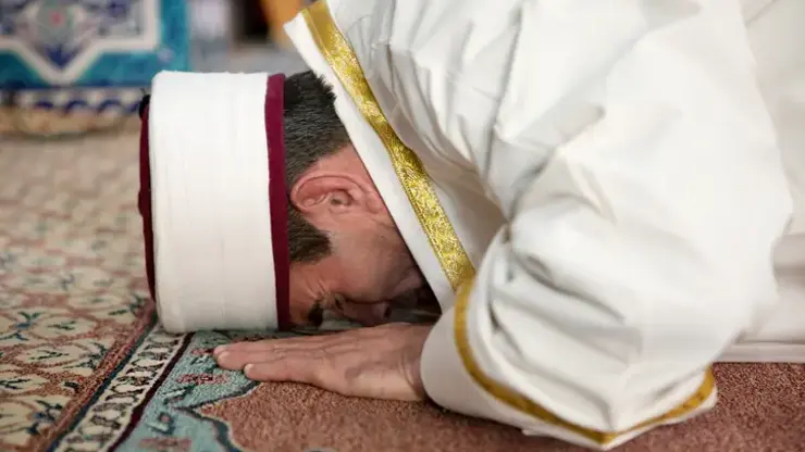 Фото: Интернет