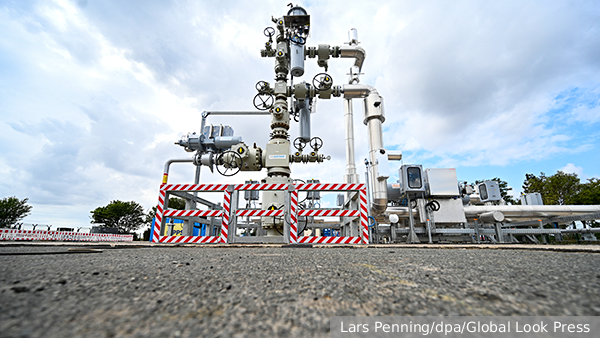     Фото: Lars Penning/dpa/Global Look Press   
 Текст: Анастасия Куликова